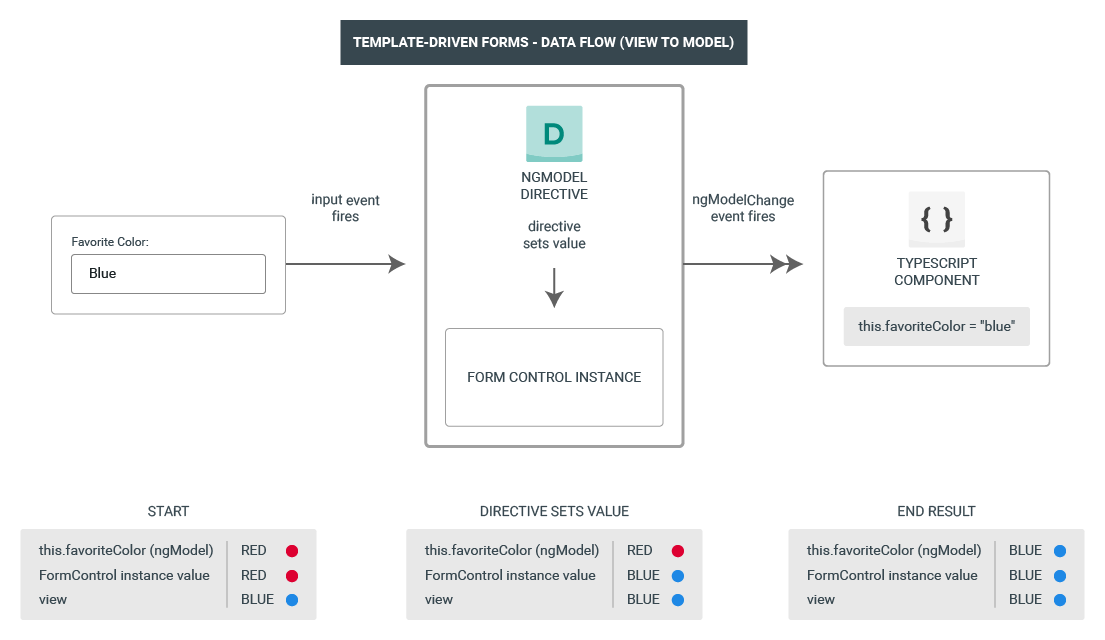 Template-driven forms view to model data flow