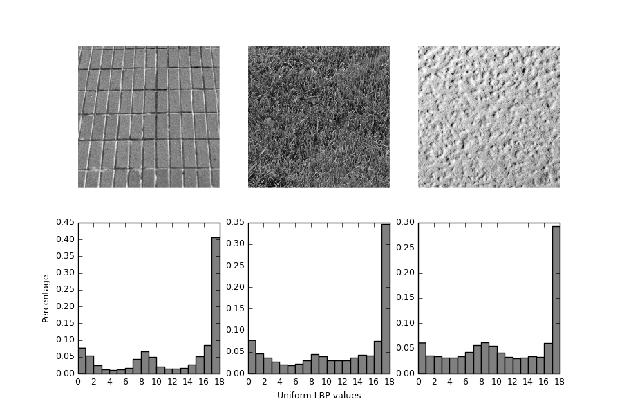 ../../_images/plot_local_binary_pattern_3.png