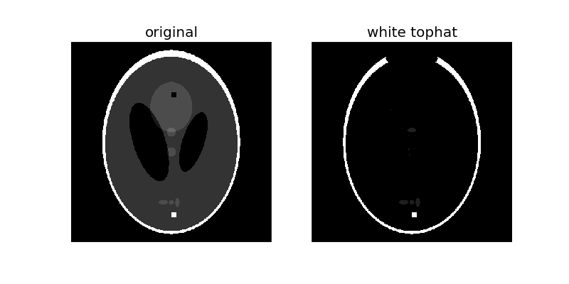 ../../_images/plot_morphology_6.png